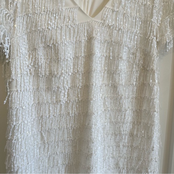 Aidan Mattox Dress Size 10 Ivory Sequined Fringe Shift Cocktail Dress - Picture 3 of 9